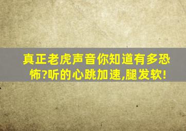 真正老虎声音你知道有多恐怖?听的心跳加速,腿发软!