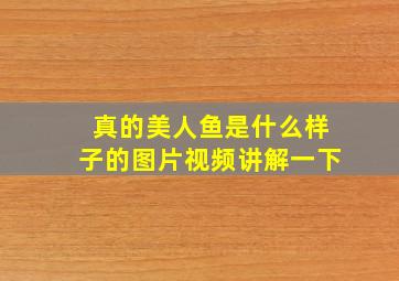 真的美人鱼是什么样子的图片视频讲解一下