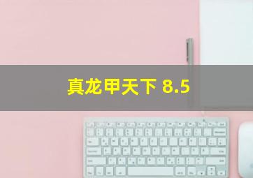 真龙甲天下 8.5