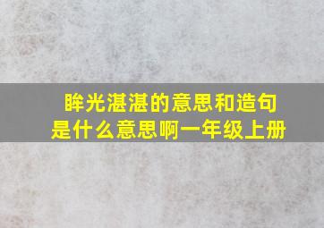 眸光湛湛的意思和造句是什么意思啊一年级上册