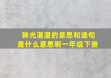 眸光湛湛的意思和造句是什么意思啊一年级下册