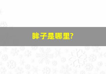 眸子是哪里?