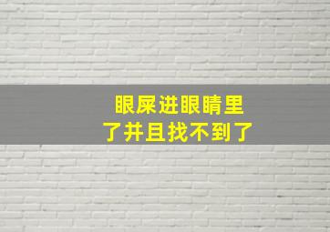 眼屎进眼睛里了并且找不到了