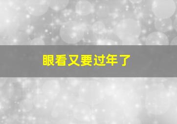 眼看又要过年了