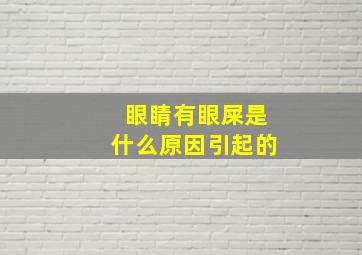 眼睛有眼屎是什么原因引起的