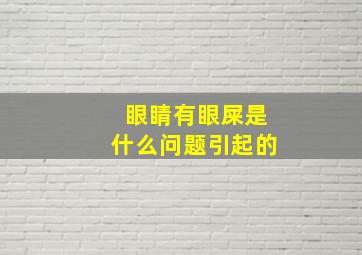 眼睛有眼屎是什么问题引起的