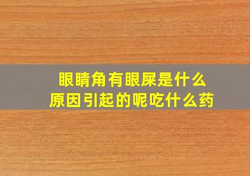 眼睛角有眼屎是什么原因引起的呢吃什么药