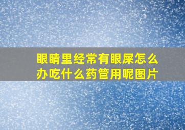 眼睛里经常有眼屎怎么办吃什么药管用呢图片