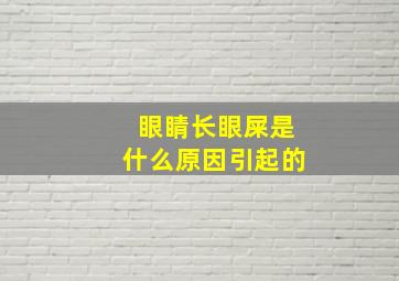 眼睛长眼屎是什么原因引起的