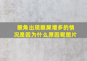 眼角出现眼屎增多的情况是因为什么原因呢图片