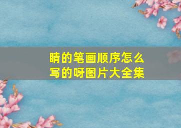 睛的笔画顺序怎么写的呀图片大全集