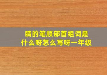 睛的笔顺部首组词是什么呀怎么写呀一年级