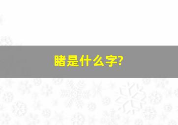 睹是什么字?