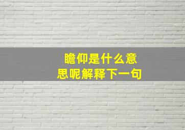 瞻仰是什么意思呢解释下一句