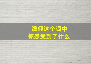 瞻仰这个词中你感受到了什么