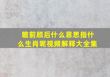 瞻前顾后什么意思指什么生肖呢视频解释大全集