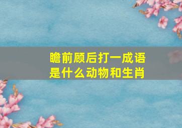 瞻前顾后打一成语是什么动物和生肖