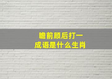 瞻前顾后打一成语是什么生肖