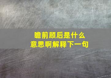 瞻前顾后是什么意思啊解释下一句