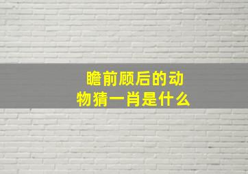 瞻前顾后的动物猜一肖是什么