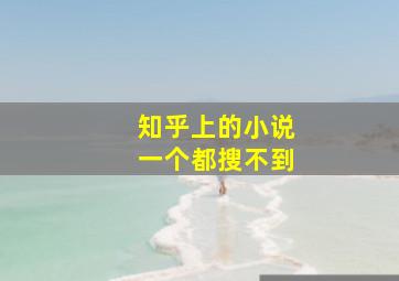 知乎上的小说一个都搜不到