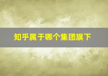 知乎属于哪个集团旗下