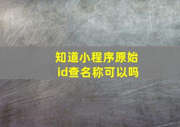 知道小程序原始id查名称可以吗