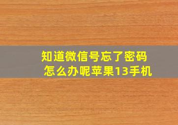 知道微信号忘了密码怎么办呢苹果13手机