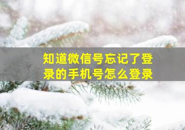 知道微信号忘记了登录的手机号怎么登录