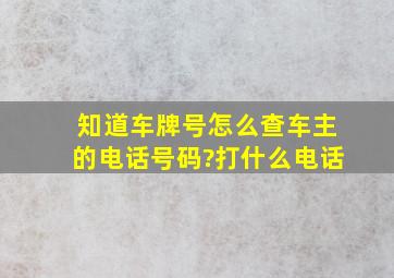 知道车牌号怎么查车主的电话号码?打什么电话