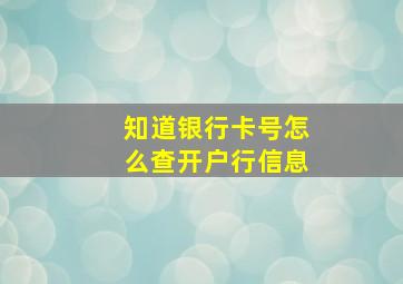 知道银行卡号怎么查开户行信息