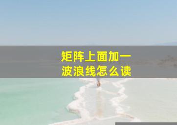 矩阵上面加一波浪线怎么读