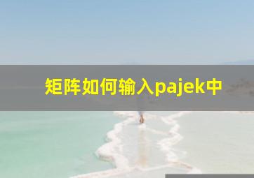 矩阵如何输入pajek中