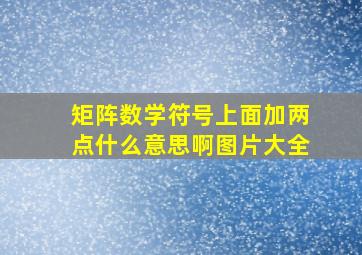 矩阵数学符号上面加两点什么意思啊图片大全