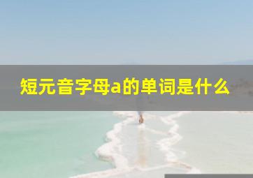 短元音字母a的单词是什么