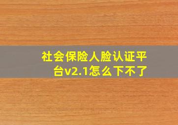 社会保险人脸认证平台v2.1怎么下不了