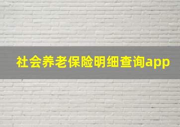 社会养老保险明细查询app