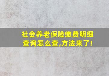 社会养老保险缴费明细查询怎么查,方法来了!