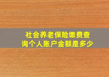 社会养老保险缴费查询个人账户金额是多少