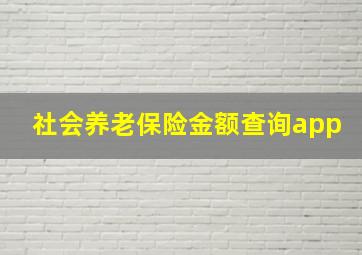 社会养老保险金额查询app