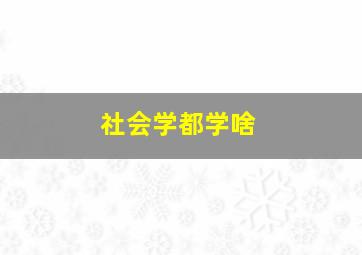 社会学都学啥