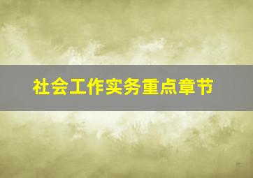 社会工作实务重点章节