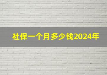 社保一个月多少钱2024年