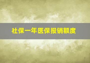 社保一年医保报销额度