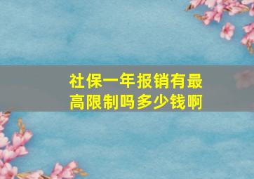 社保一年报销有最高限制吗多少钱啊