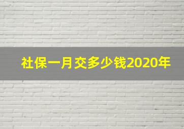 社保一月交多少钱2020年