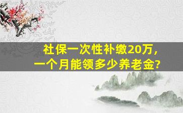 社保一次性补缴20万,一个月能领多少养老金?