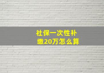 社保一次性补缴20万怎么算