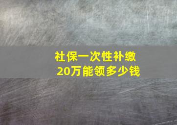 社保一次性补缴20万能领多少钱