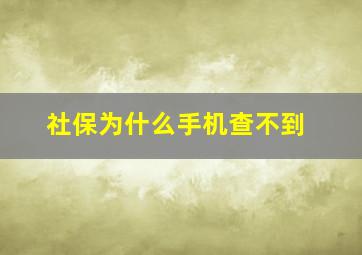 社保为什么手机查不到